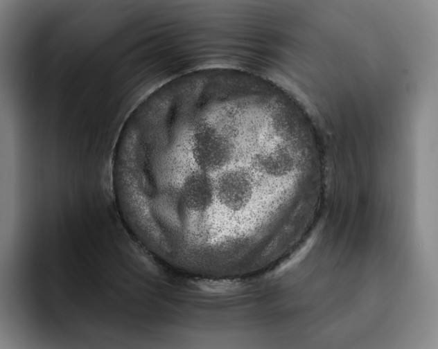 X0000091901121200709261653