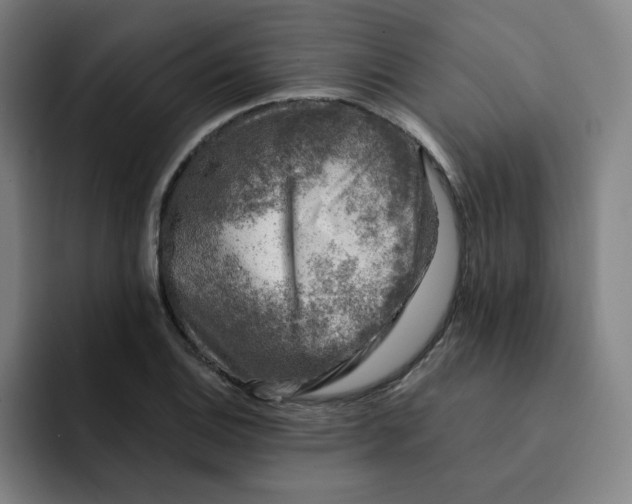 X0000091901124200709261653