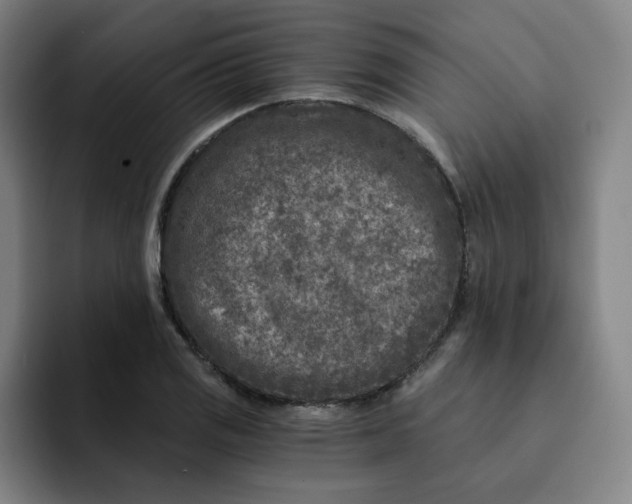 X0000091901125200709261653