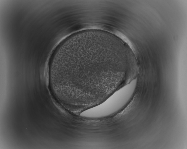 X0000091901127200709261653