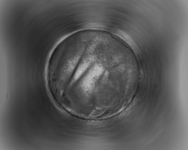 X0000091901128200709261653