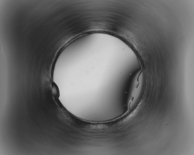 X0000091901129200709261653