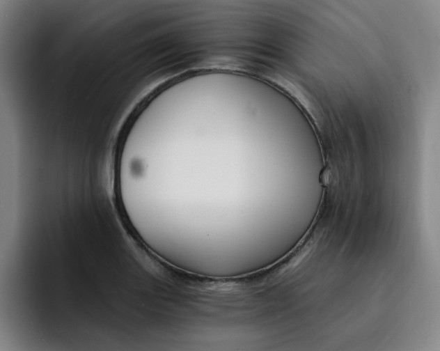 X0000091901131200709261653