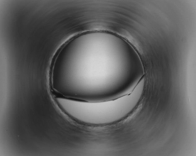 X0000091901134200709261653