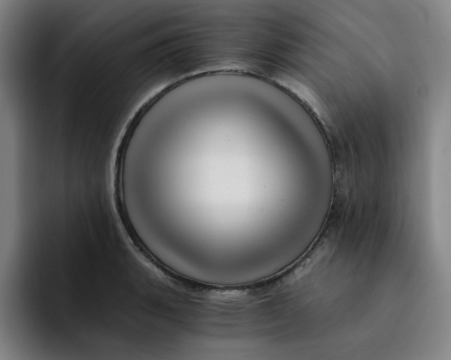 X0000091901135200709261653