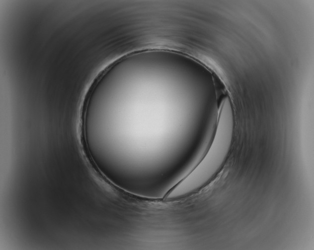 X0000091901136200709261653