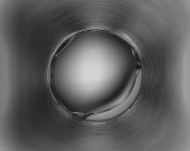 X0000091901140200709261653