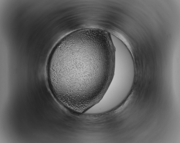 X0000091901141200709261653