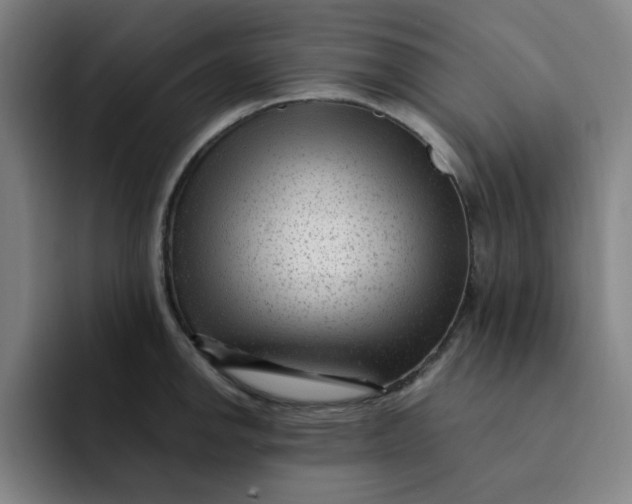 X0000091901142200709261653