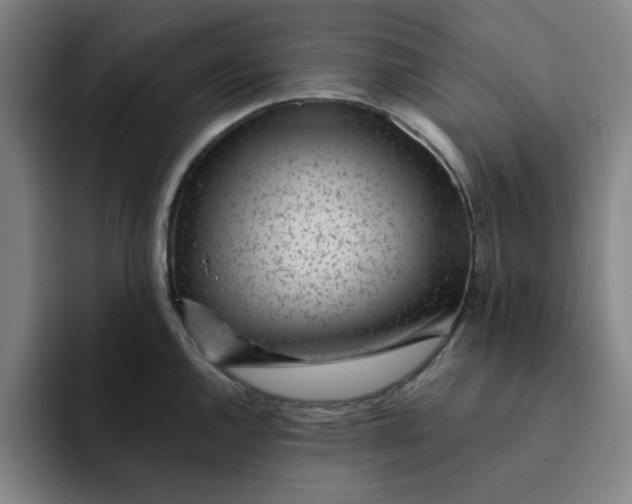 X0000091901144200709261653