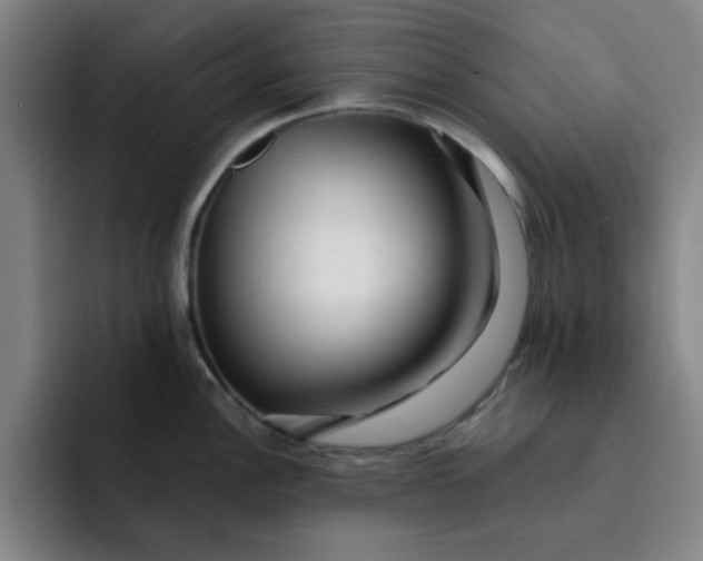 X0000091901148200709261653