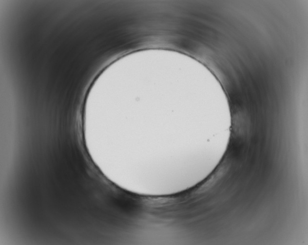 X0000091901150200709261653