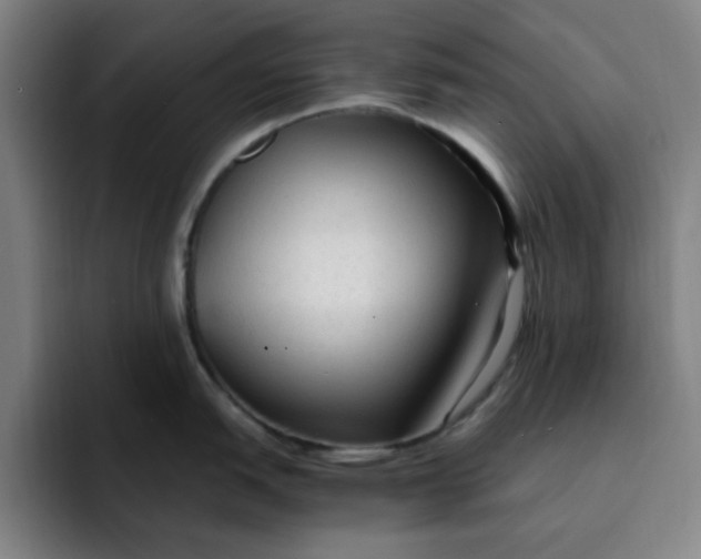 X0000091901151200709261653