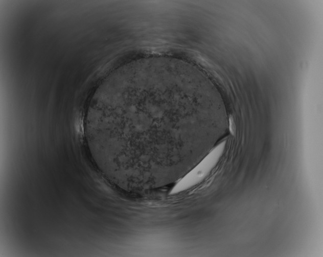 X0000091901155200709261652