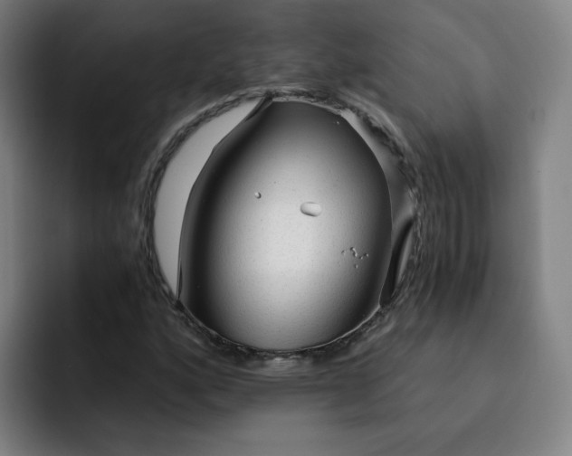 X0000091901160200709261652