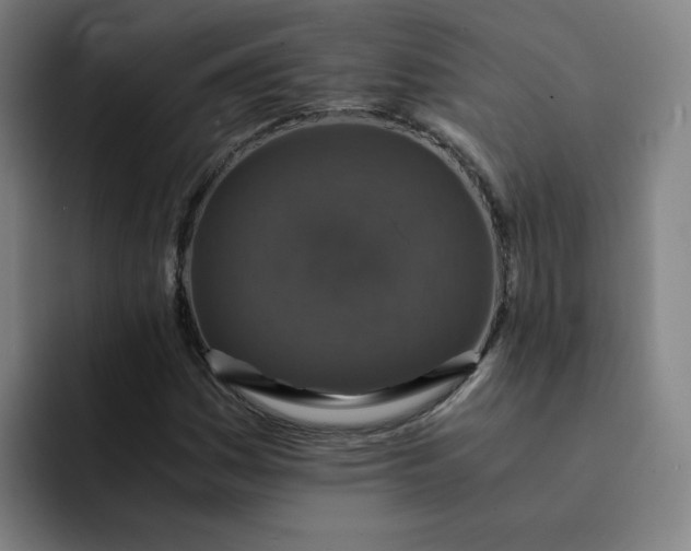 X0000091901161200709261652