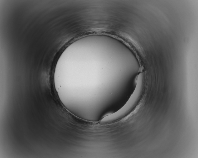 X0000091901162200709261652