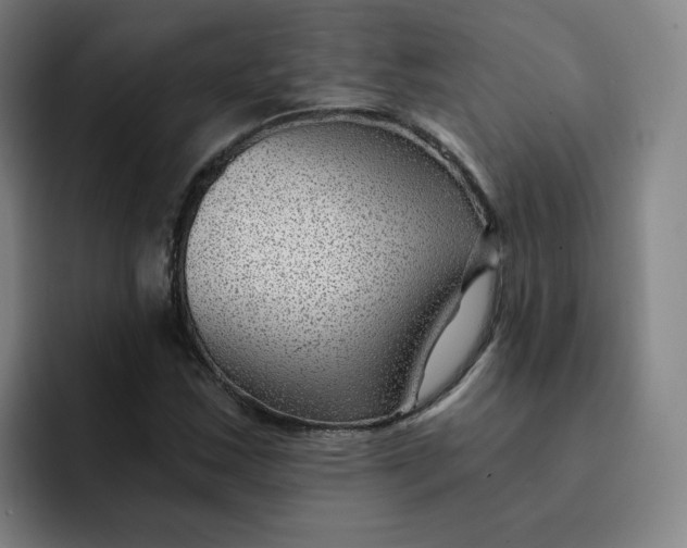 X0000091901163200709261652