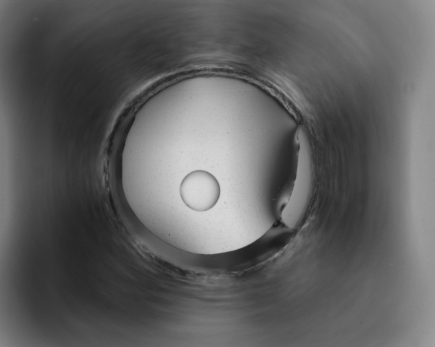 X0000091901164200709261652