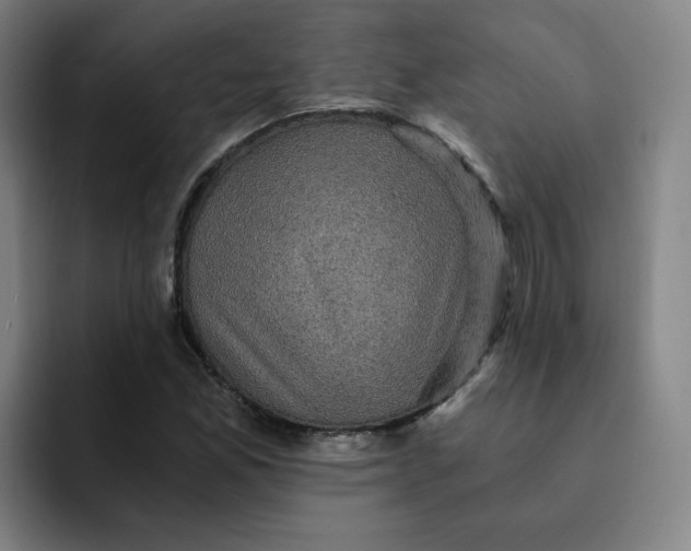 X0000091901165200709261652