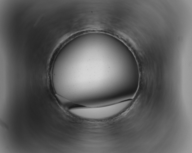 X0000091901168200709261652