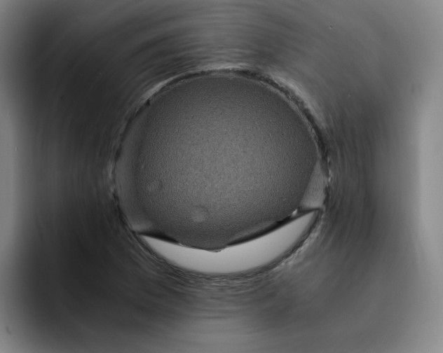 X0000091901169200709261652