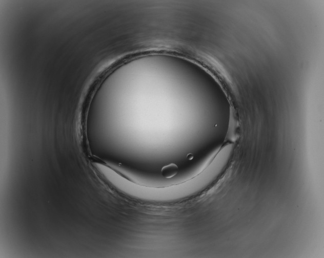 X0000091901172200709261652