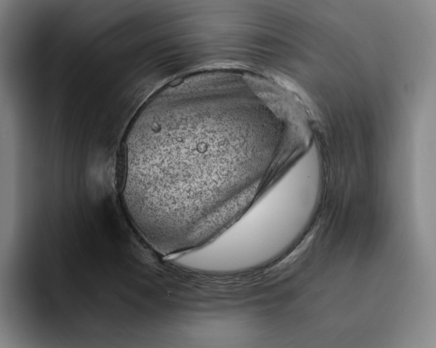 X0000091901177200709261652