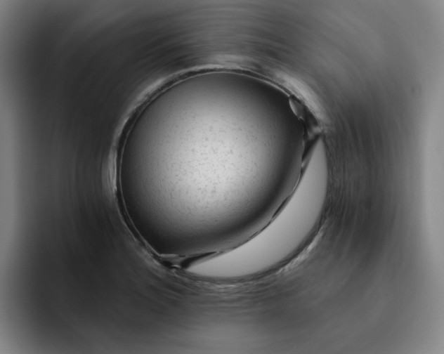 X0000091901180200709261652