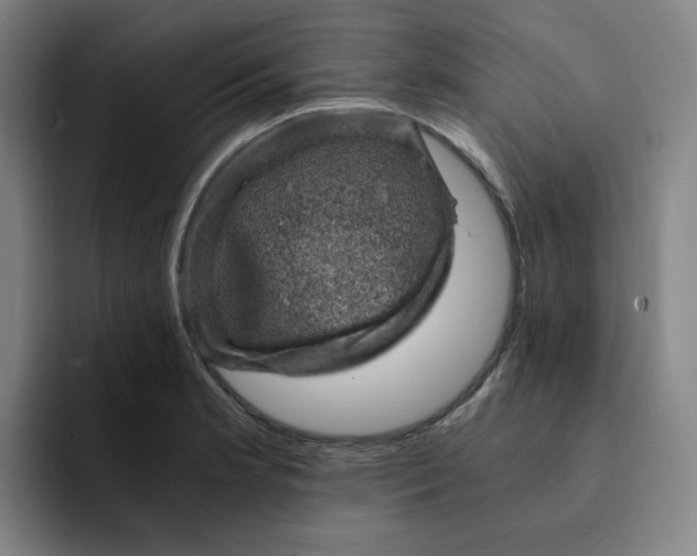 X0000091901181200709261652