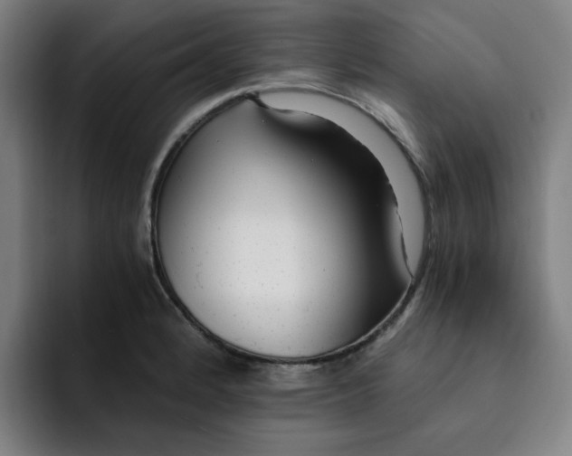 X0000091901184200709261652