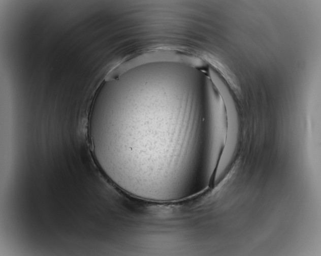 X0000091901185200709261652