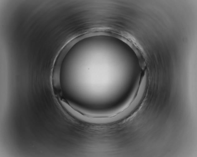 X0000091901186200709261652