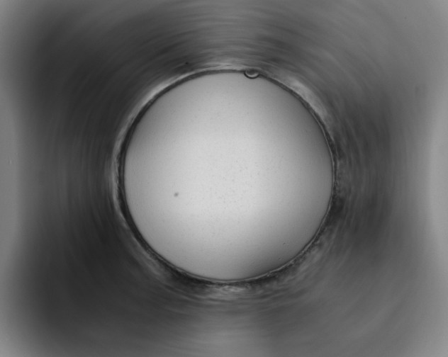 X0000091901187200709261652