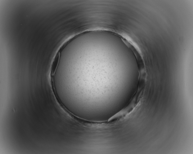 X0000091901189200709261652