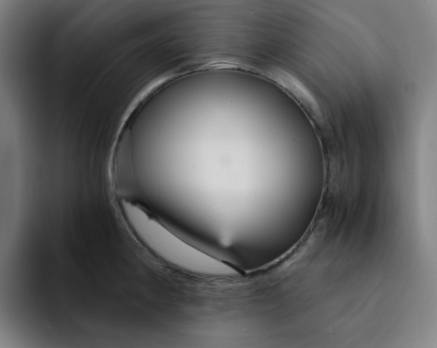 X0000091901190200709261652