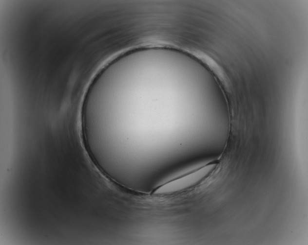 X0000091901191200709261652