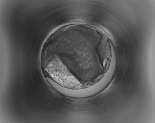 X0000091901192200709261652