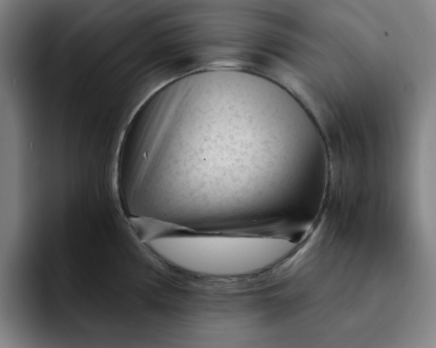 X0000091901194200709261652