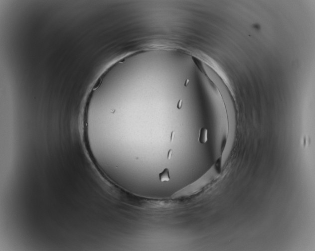 X0000091901195200709261652