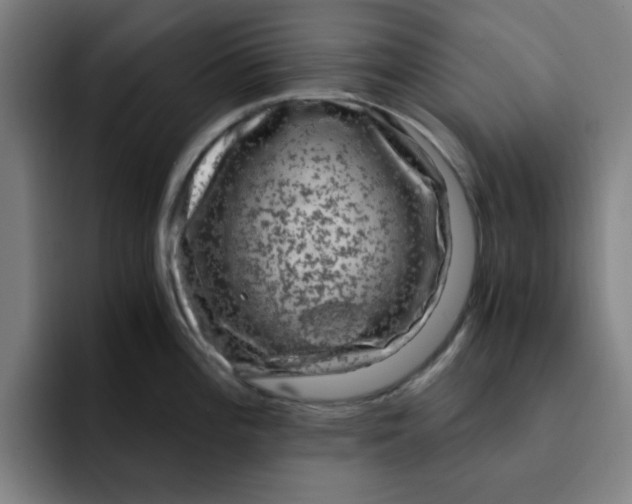 X0000091901196200709261652