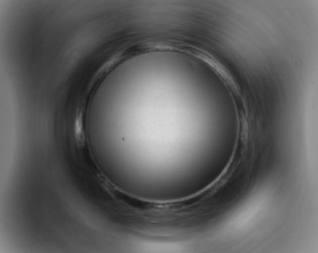 X0000091901198200709261652