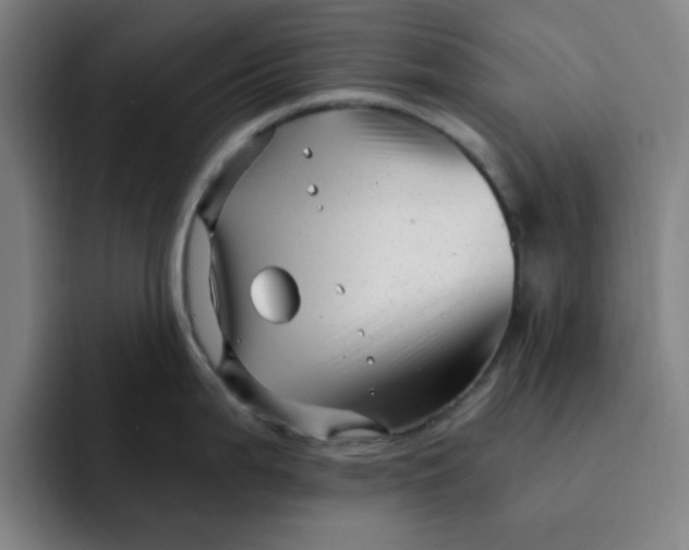 X0000091901199200709261652