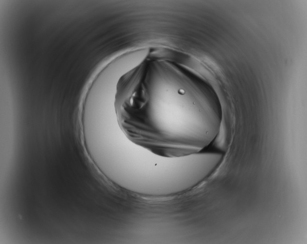 X0000091901200200709261652