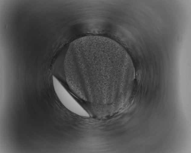 X0000091901202200709261651