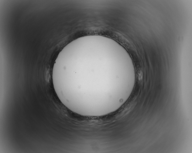 X0000091901204200709261651