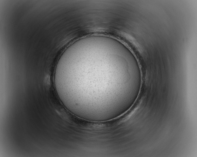 X0000091901209200709261651