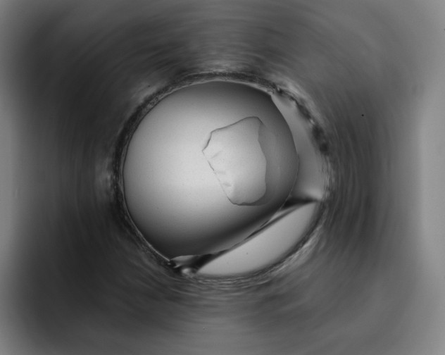 X0000091901210200709261651