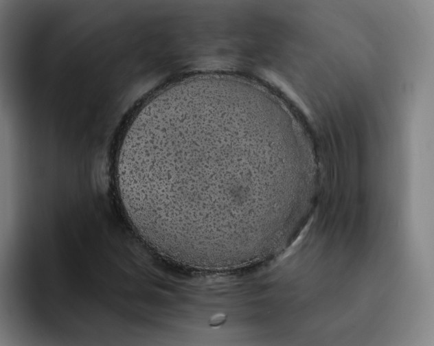 X0000091901213200709261651