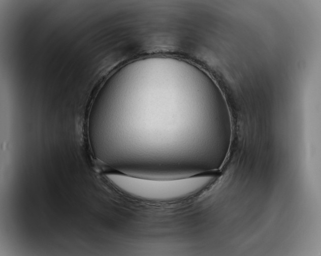 X0000091901217200709261652